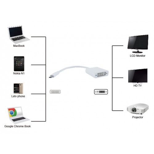 POWERTECH αντάπτορας USB Type-C σε DVI PTH-036, 4K, λευκό