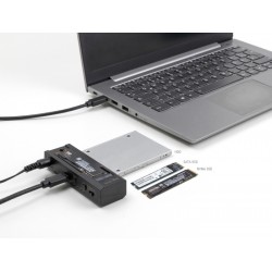 DELOCK docking station για M.2 NVMe/SATA ή 2.5"/3.5" SSD/HDD 64252, 10Gbps, clone function, μαύρο