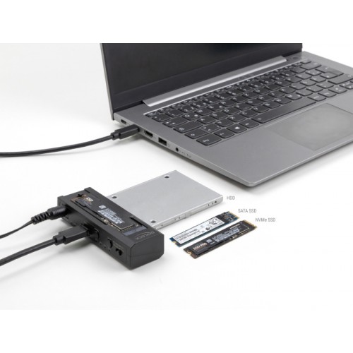 DELOCK docking station για M.2 NVMe/SATA ή 2.5"/3.5" SSD/HDD 64252, 10Gbps, clone function, μαύρο