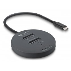 DELOCK docking station για M.2 NVMe PCIe SSD 64364, 2 θέσεων, 20Gbps, clone function, μαύρο